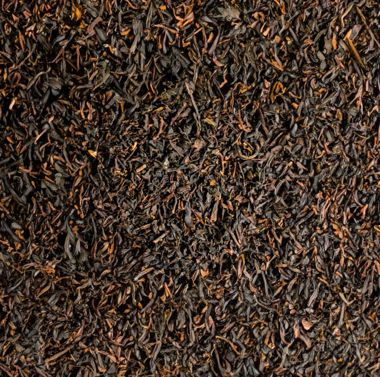 Pura Vita black tea earl grey pyramid shaped bags