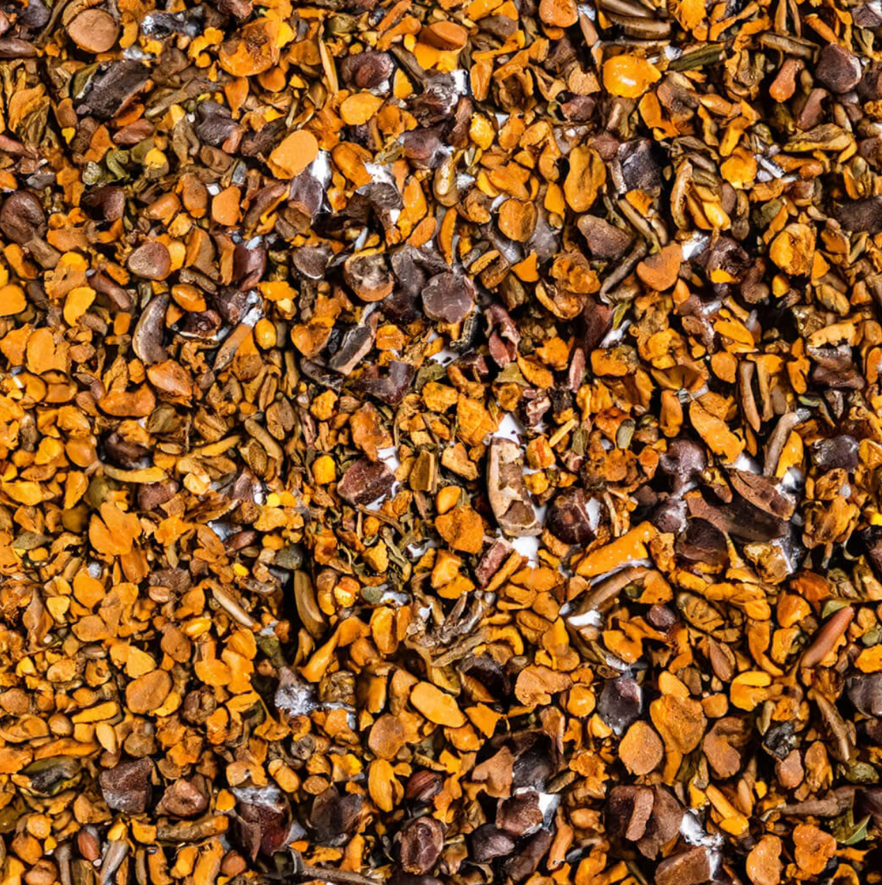 Pura Vita fruit tea cacao & apple pyramid shaped bags